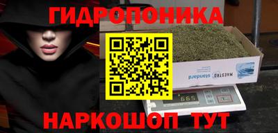 индика Бузулук