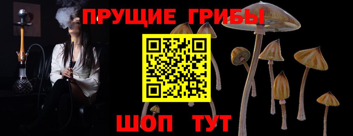 Челябинск  Псилоцибиновые грибы Psilocybe  Вход с VPN 
